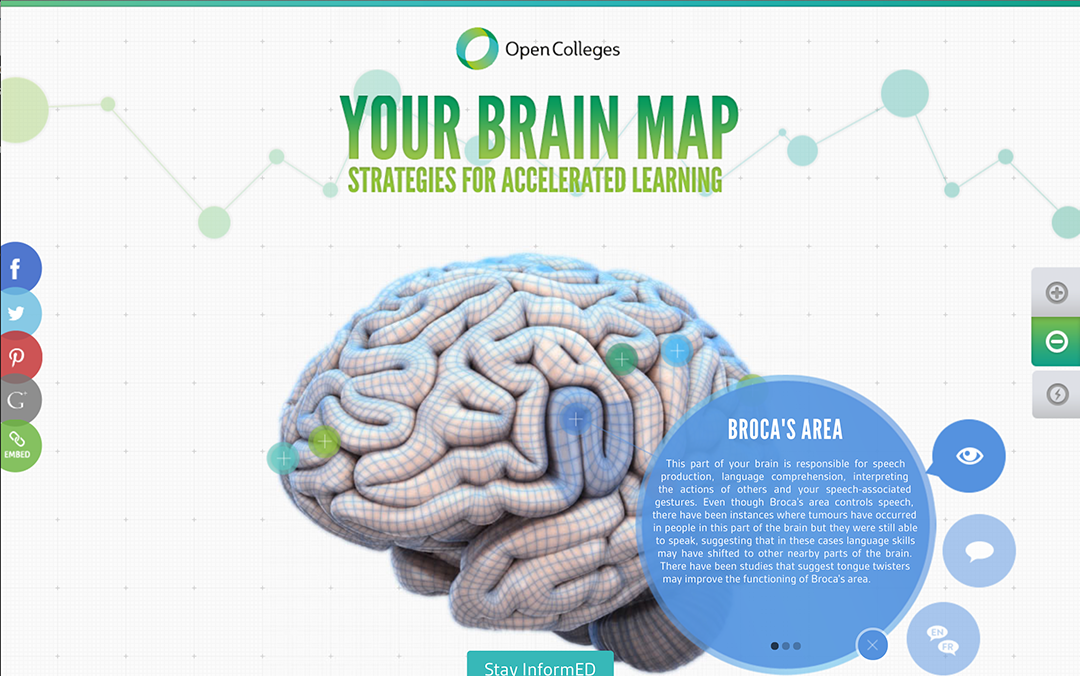Your Brain Map